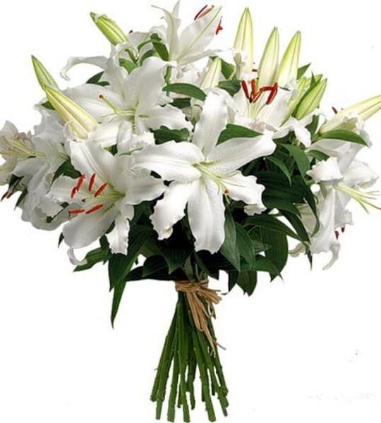 telefloristeria lilium blanco